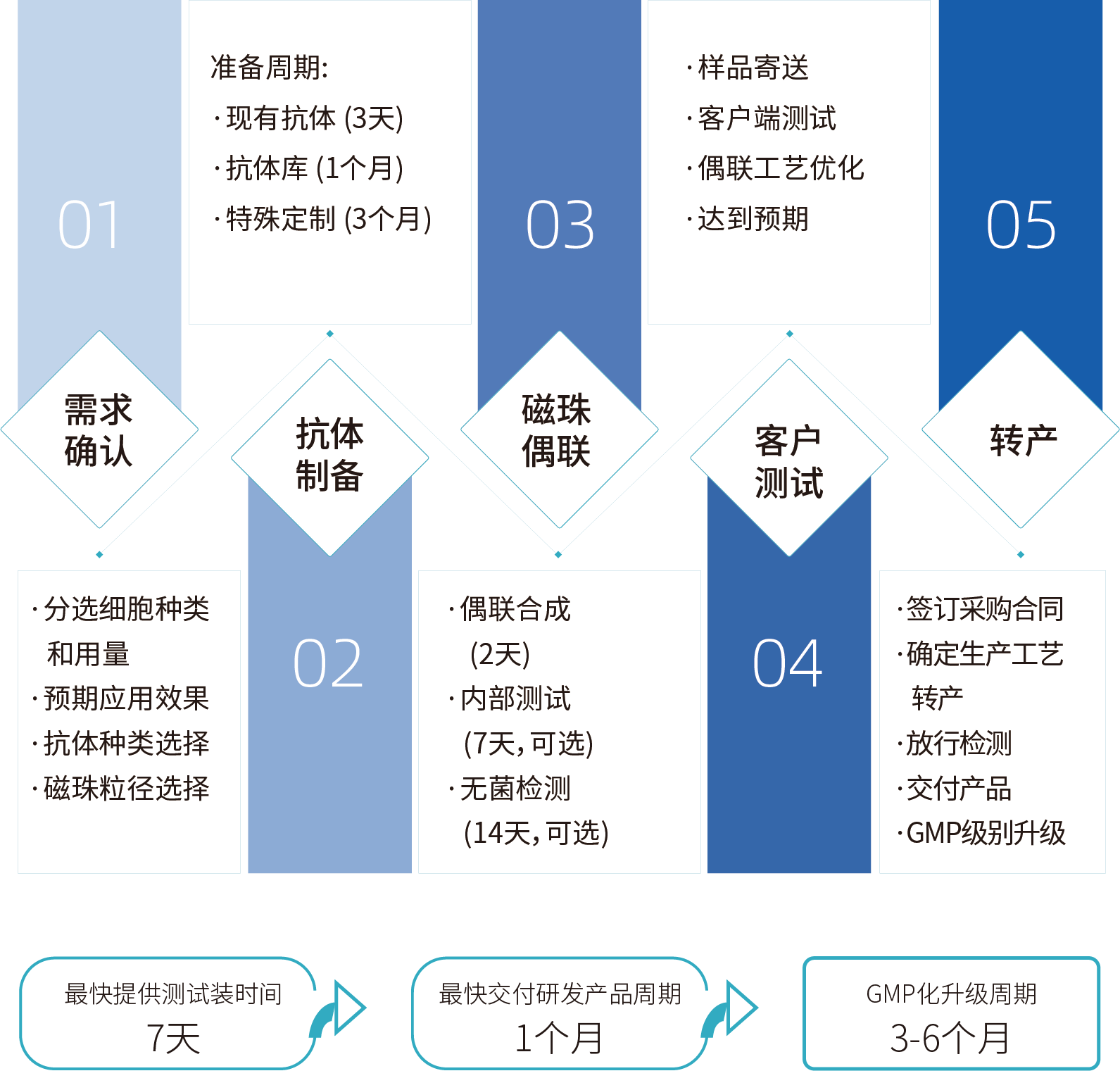 恒峰g22登录入口细胞分选激活磁珠/分选磁珠定制，定制流程
